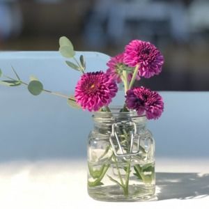 Meet your Posher, Kelsey